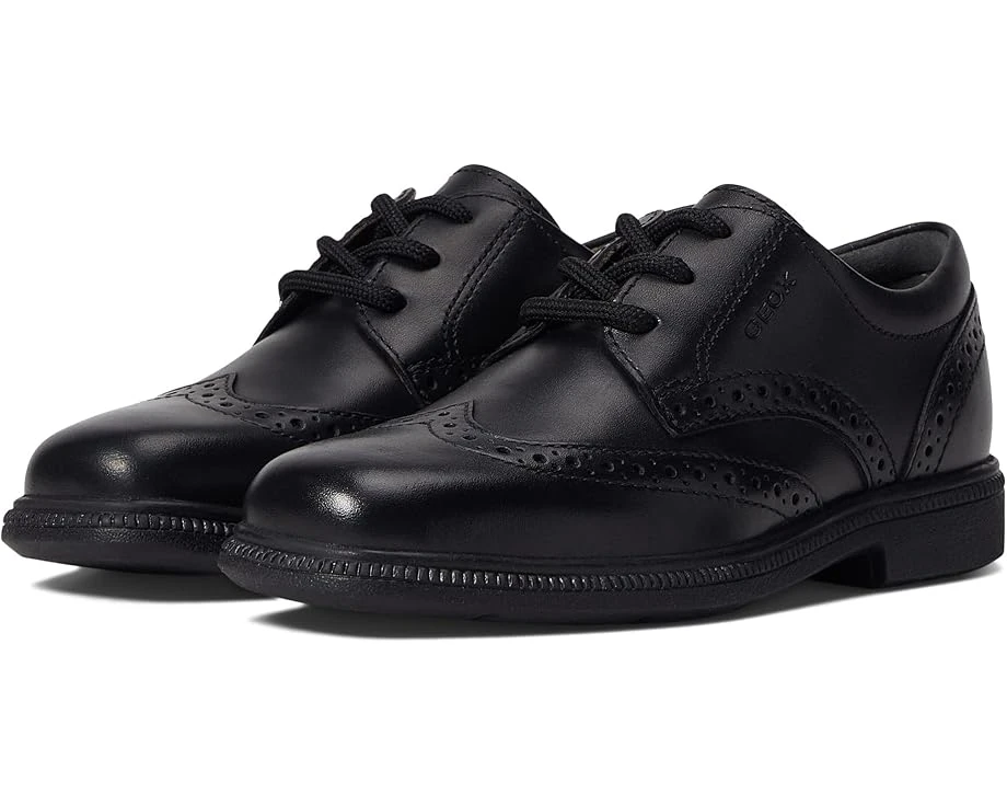 Geox Kids Federico 9 (Little Kid/Big Kid) 3 Geox Kids Federico 9 (Little Kid/Big Kid)